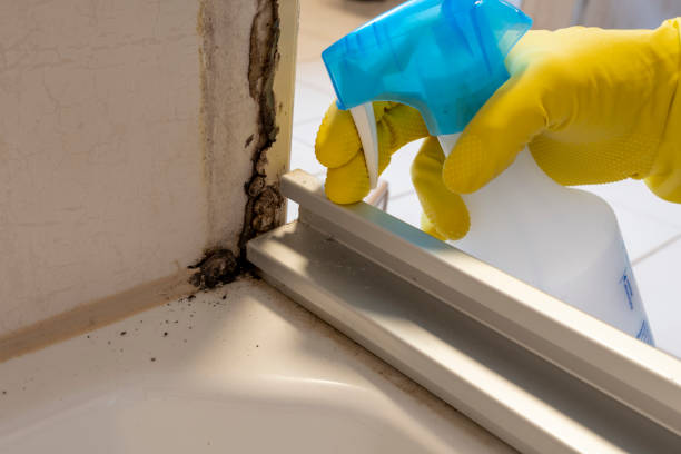 Best Crawl Space Mold Remediation in Leisure World, MD