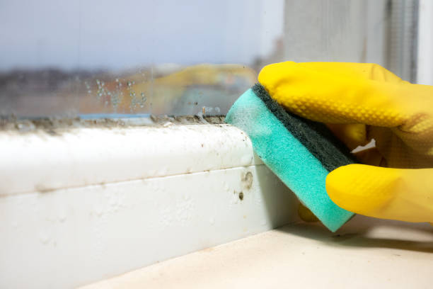 Best HVAC Mold Remediation in Leisure World, MD